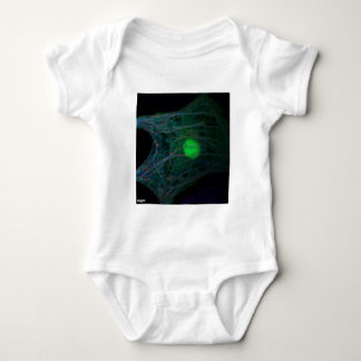 Kipbryo-cardiomyocyt Romper