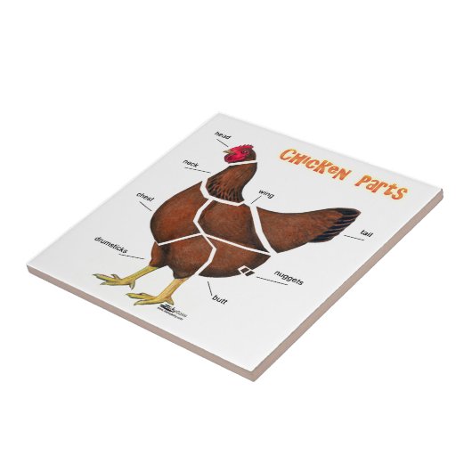 Kipdelen Tegeltje (Zijkant)