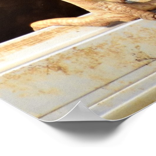 Kipenbutten Poster (Hoek)