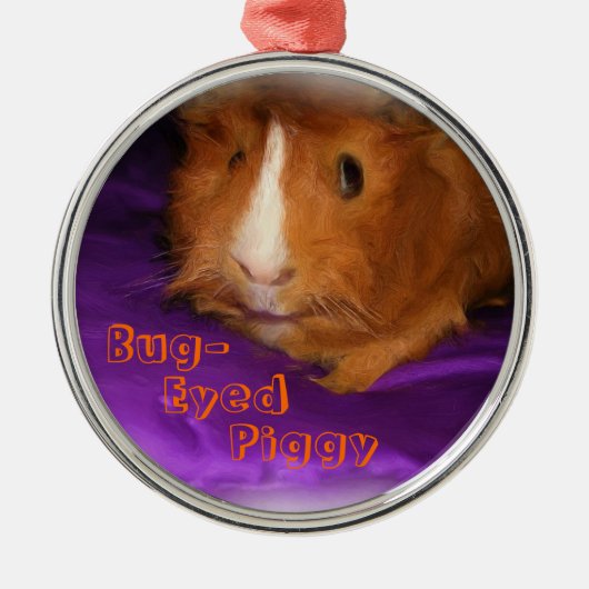 Kippebig-ogige Cavia Kerst Ornament (Voorkant)