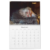 Kippen 2014 (met bijbelletjes ) kalender (Mar 2027)