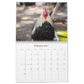 Kippen 2014 (met bijbelletjes ) kalender (Feb 2027)