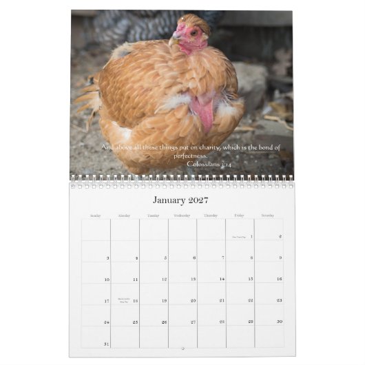 Kippen 2014 (met bijbelletjes ) kalender (Jan 2027)