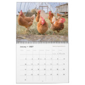 Kippen 2019 - Happy Harvest boerderij Kalender (Jan 2027)