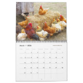 Kippen 2019 - Happy Harvest boerderij Kalender (Mar 2026)