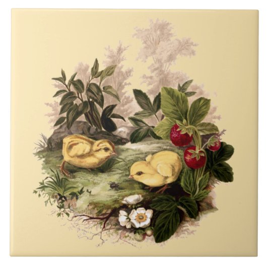 Kippen & Aardbeien door L. Prang & Co. Tegeltje (Voorkant)