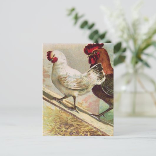  kippen bij  paasBriefkaart Briefkaart (Staand voorkant)