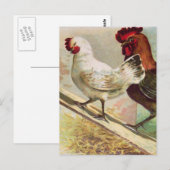  kippen bij  paasBriefkaart Briefkaart (Voorkant / Achterkant)