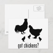Kippen Briefkaart (Voorkant / Achterkant)