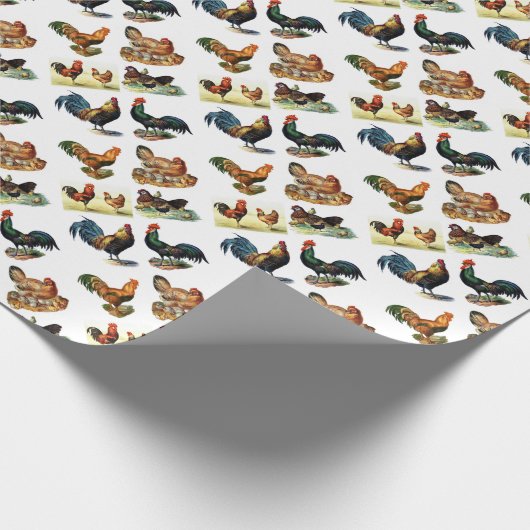 kippen cadeaupapier (Hoek)