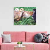 Kippen Canvas Afdruk (Insitu (Woonkamer))