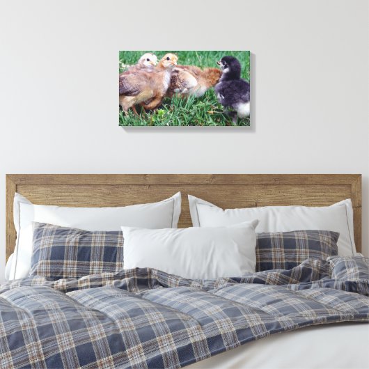 Kippen Canvas Afdruk (Insitu (Slaapkamer))