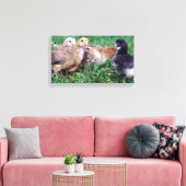 Kippen Canvas Afdruk (Insitu (Woonkamer))