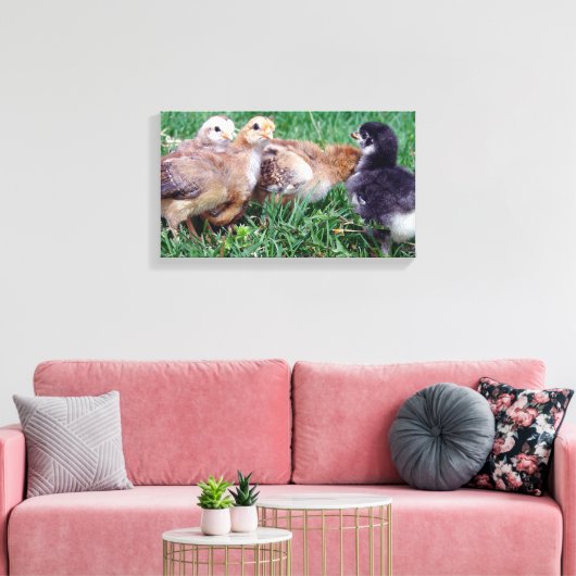 Kippen Canvas Afdruk (Insitu (Woonkamer))