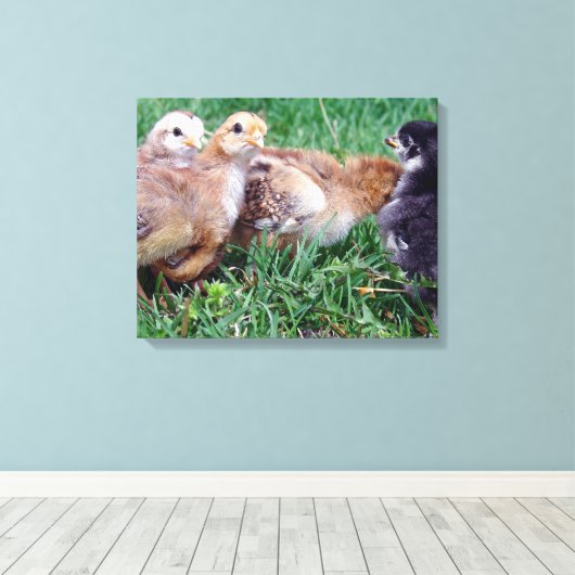 Kippen Canvas Afdruk (Insitu (Houten vloer))