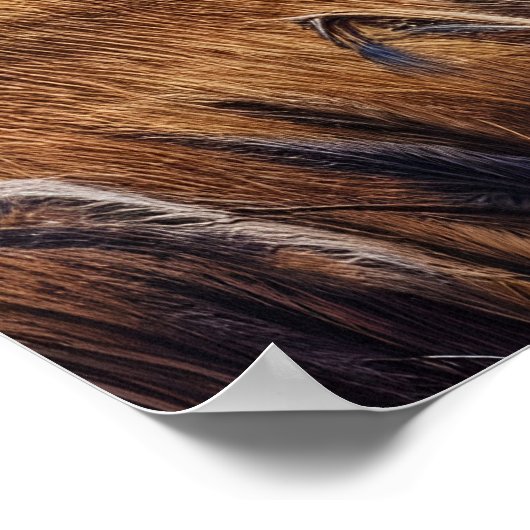 Kippen dansen door de velden poster (Hoek)