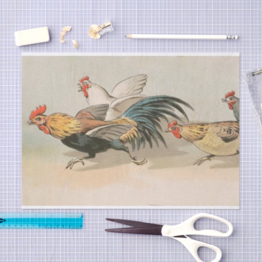 kippen die weefselpapier gebruiken tissuepapier (Craft)