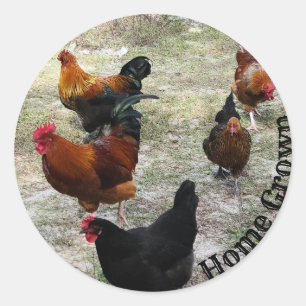 Kippen doen kippenspullen ronde sticker