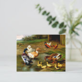 Kippen, eenden en slangen op het Boerderij Briefkaart (Staand voorkant)