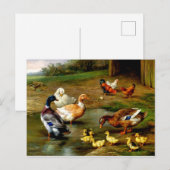 Kippen, eenden en slangen op het Boerderij Briefkaart (Voorkant / Achterkant)