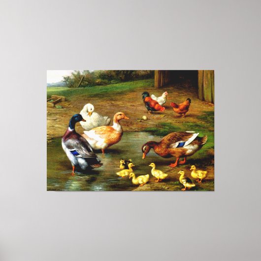 Kippen, eenden en slangen op het Boerderij Canvas Afdruk (Voorkant)