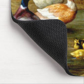 Kippen, eenden en slangen op het Boerderij Muismat (Hoek)