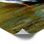 Kippen, eenden en slangen op het Boerderij Poster (Hoek)