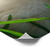 Kippen en deuken poster (Hoek)