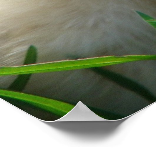 Kippen en deuken poster (Hoek)