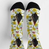 Kippen en Frangipanis, Sokken van bemanningsleden (Top)