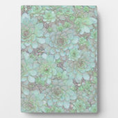 kippen en kippen fotoplaat (voorkant)