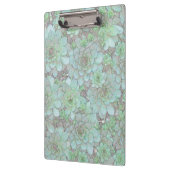 kippen en kippen klembord (Links)