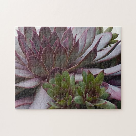 kippen en kippen legpuzzel (Horizontaal)