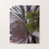 kippen en kippen legpuzzel (Verticaal)