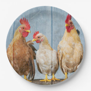 kippen en kippen papieren bordje
