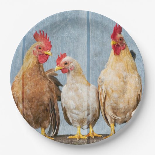 kippen en kippen papieren bordje (Voorkant)