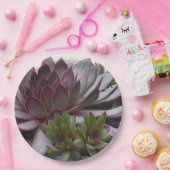 kippen en kippen papieren bordje (Feest)