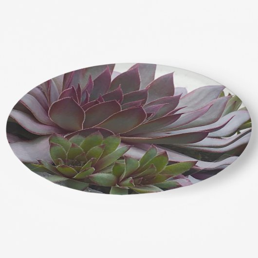 kippen en kippen papieren bordje (Gekanteld)