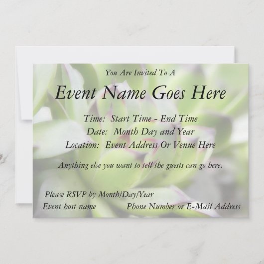 kippen en kippen - Sempervivum Kaart (Voorkant)