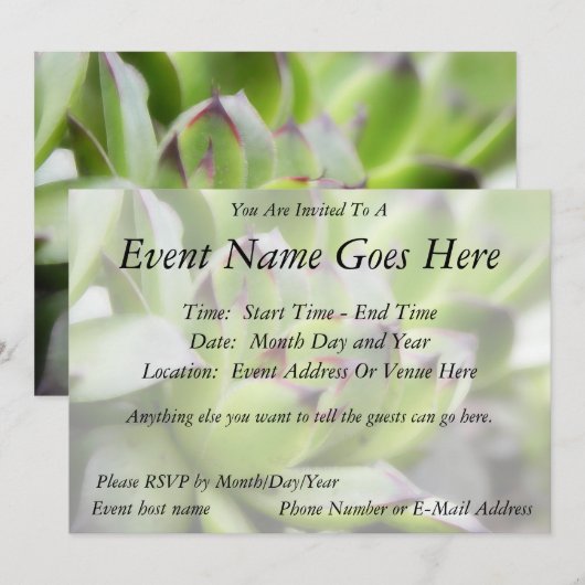 kippen en kippen - Sempervivum Kaart (Voorkant / Achterkant)