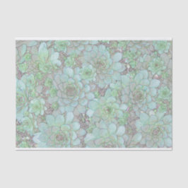 kippen en kippen tissuepapier