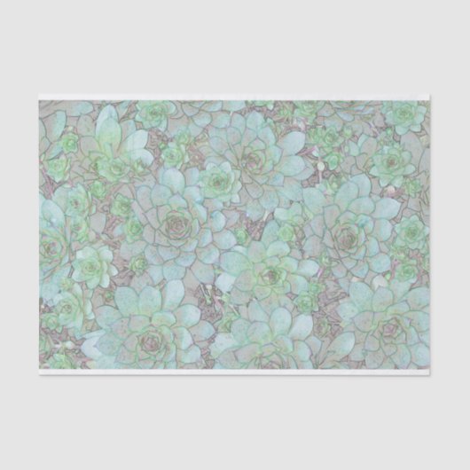 kippen en kippen tissuepapier (Voorkant)