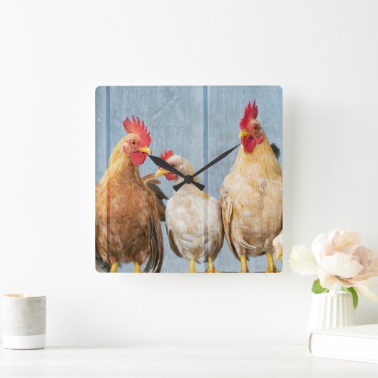 Kippen en kippen vierkante klok (Huis)