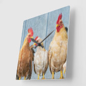 Kippen en kippen vierkante klok (Hoek)