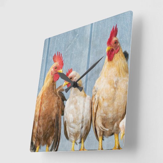 Kippen en kippen vierkante klok (Hoek)