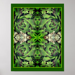 Kippen en kuikens Tuin Succulent Mirror Abstract Poster