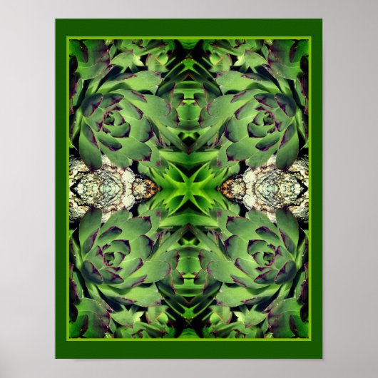 Kippen en kuikens Tuin Succulent Mirror Abstract Poster (Voorkant)