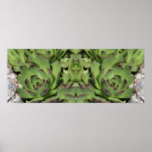 Kippen en kuikens Tuinvetplanten Spiegel Abstract Poster (Voorkant)