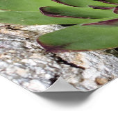 Kippen en kuikens Tuinvetplanten Spiegel Abstract Poster (Hoek)