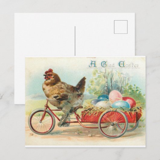  kippen- en paaseieren briefkaart (Voorkant / Achterkant)